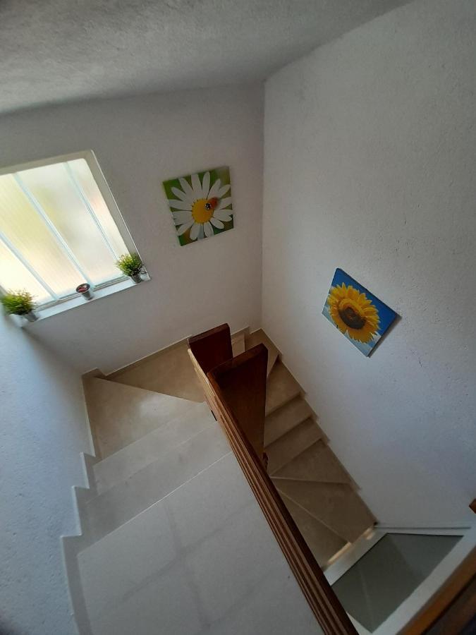 טרוגיר Comfort Apartments מראה חיצוני תמונה