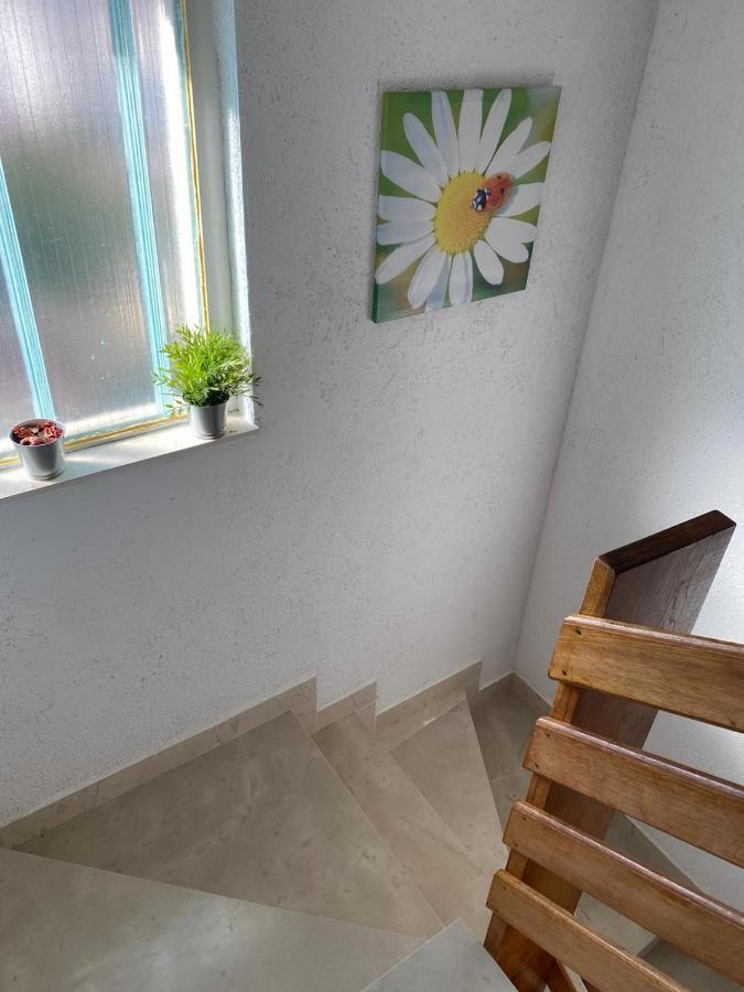 טרוגיר Comfort Apartments מראה חיצוני תמונה